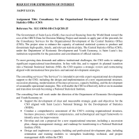 Government of Saint Lucia: Consultancy for the Organizational Development of the Central Statistics Office (CSO)